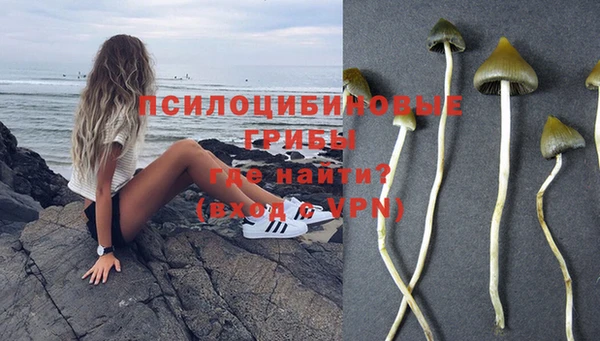 метамфетамин Алексин