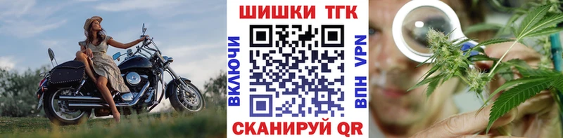 Бошки марихуана сатива  где найти наркотики  Борзя 
